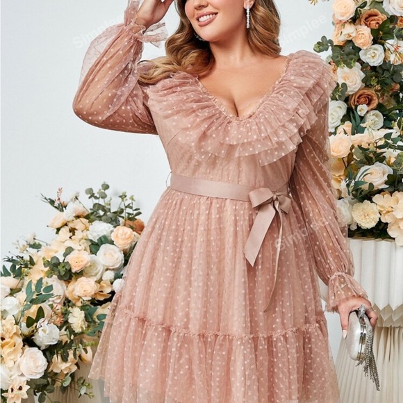 Elegant Pink Ruffle Dress - Picture 1 of 5